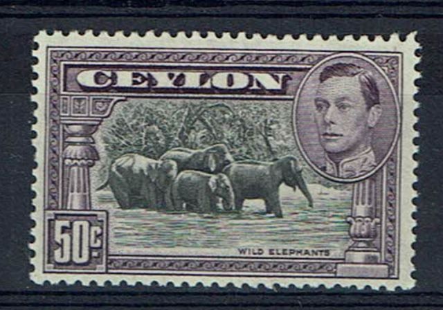Image of Ceylon/Sri Lanka SG 394a UMM British Commonwealth Stamp